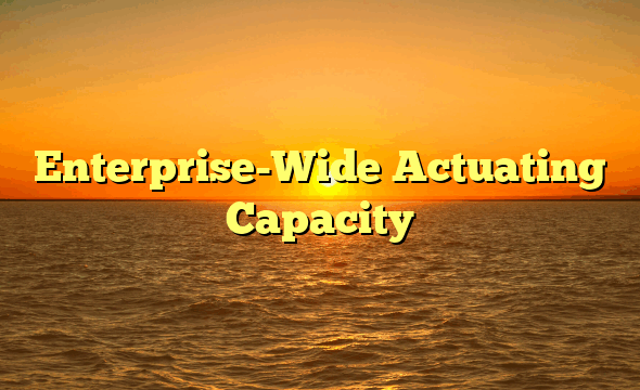 Enterprise-Wide Actuating Capacity